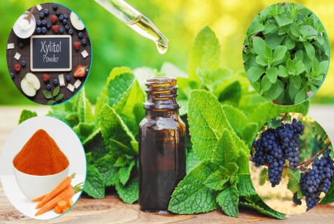 BioDentex Ingredients