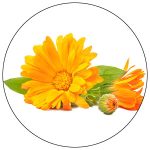 Calendula Officinalis Extract