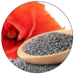 California Poppy (Poppy Seed)