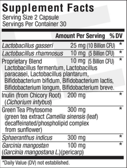 LeanBiome Ingredients
