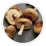 Shiitake Mushroom