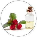 Wintergreen Oil