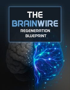 The Brainwave Regeneration Blueprint